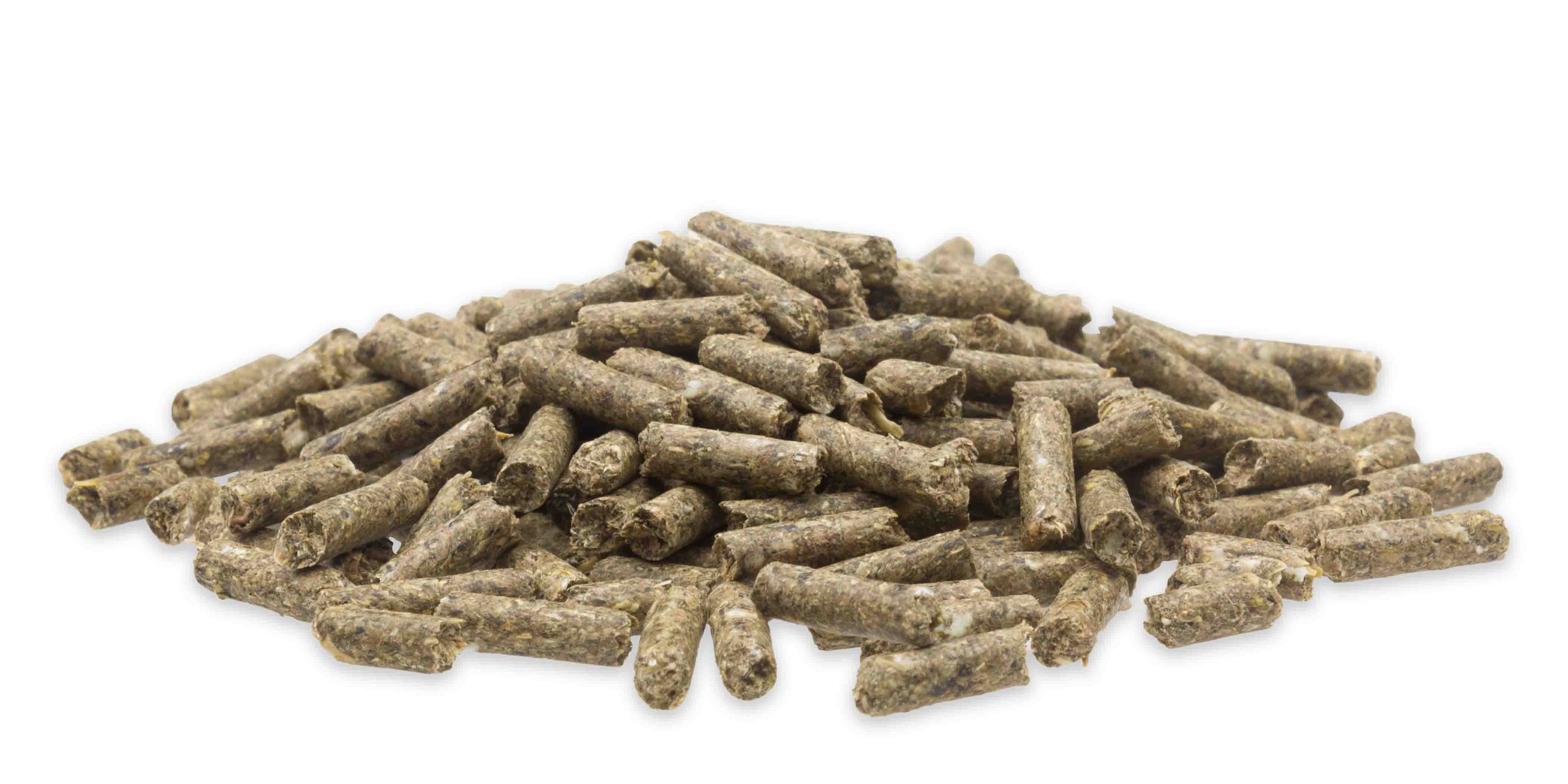 Close-up of Mifuma EnteroCare – pelleted complementary feed with uniform, fiber-rich texture in natural tones.