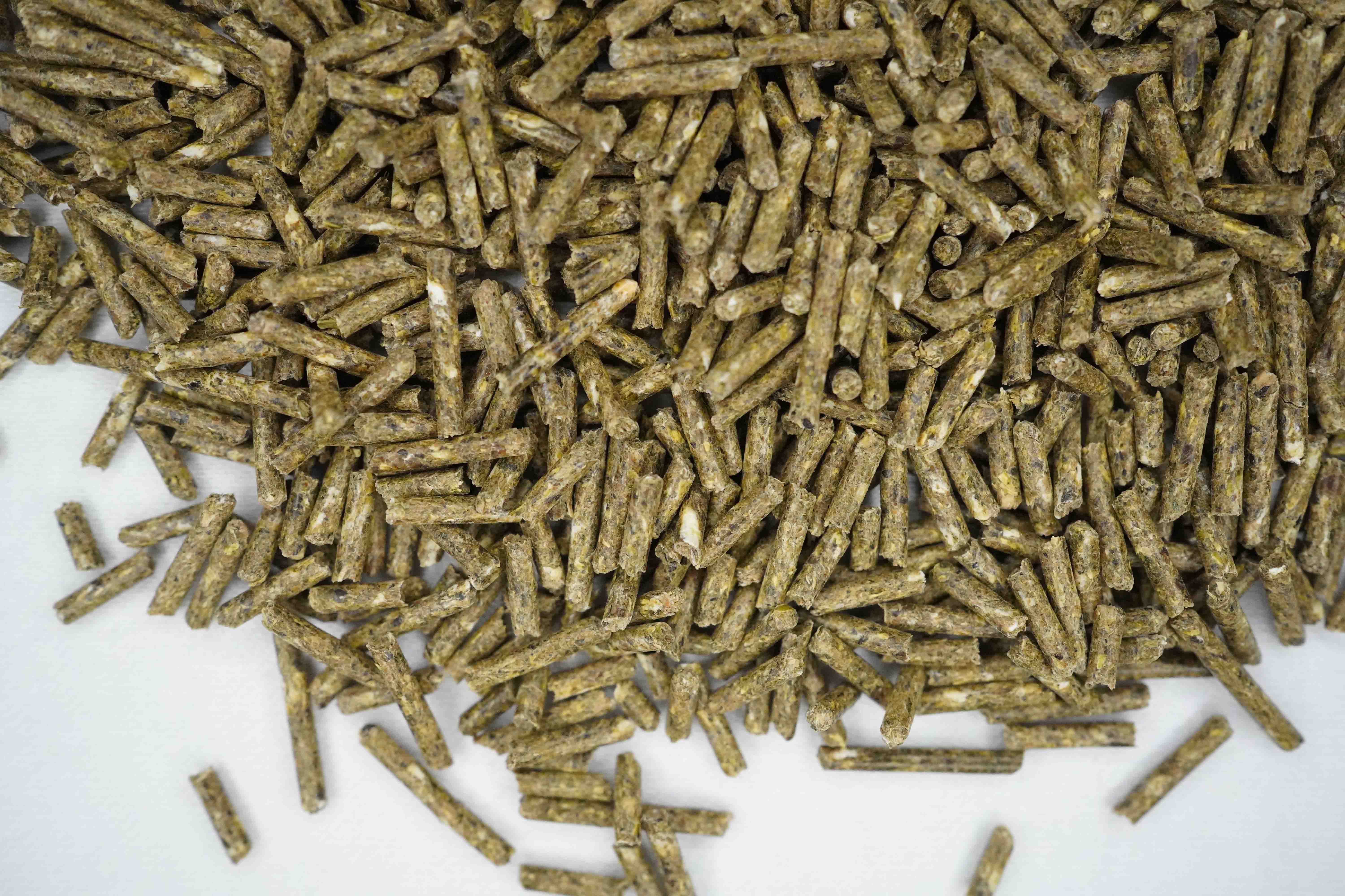Nahaufnahme von länglichen, grünlich-braunen Pellets, die lose auf einer weißen Fläche verteilt sind, geeignet als Kaninchenfutter.