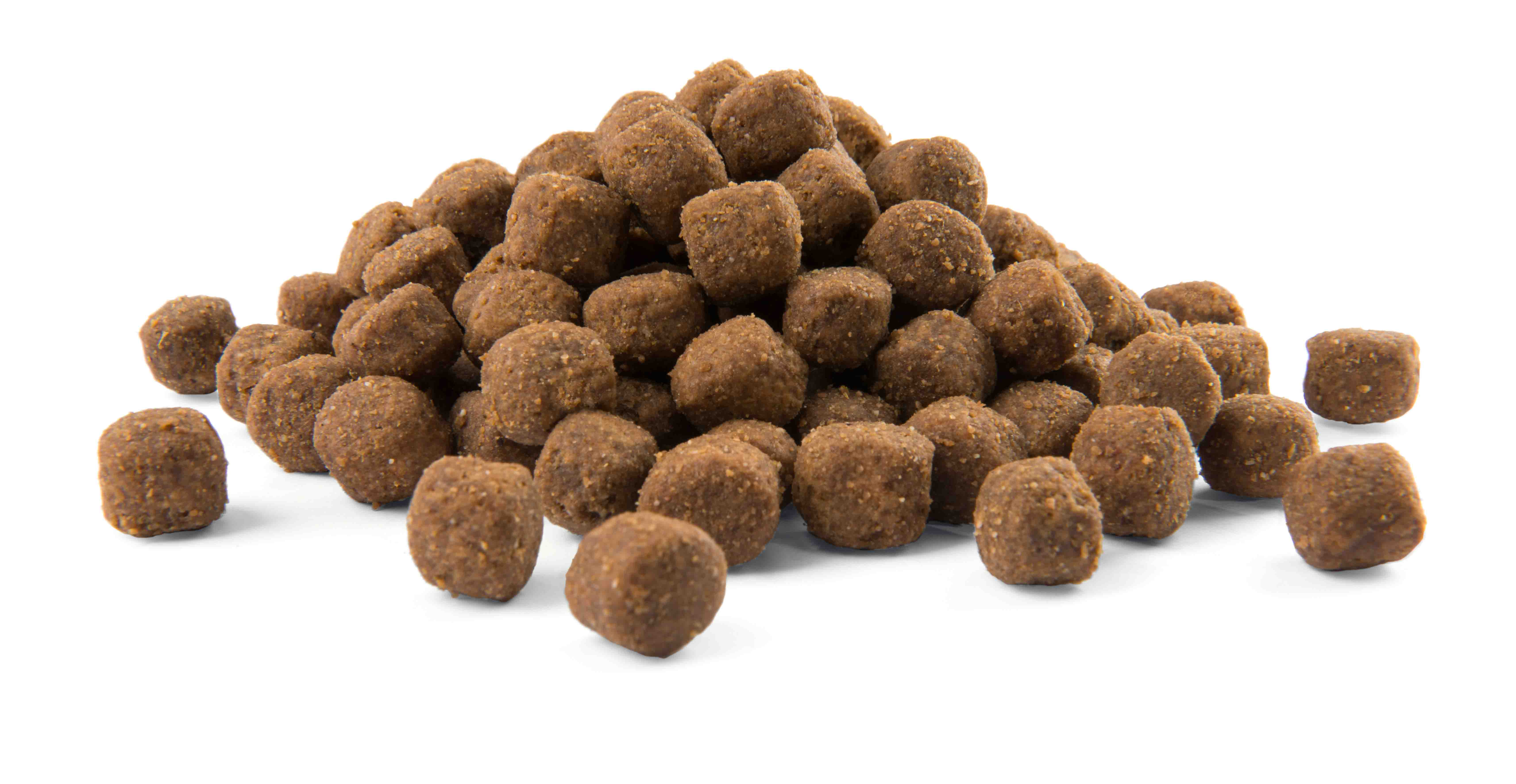 Versele-Laga Opti Life Adult Medium Hundefutter Kroketten, braune, runde bis leicht zylindrische Pellets, Detailaufnahme auf weißem Hintergrund