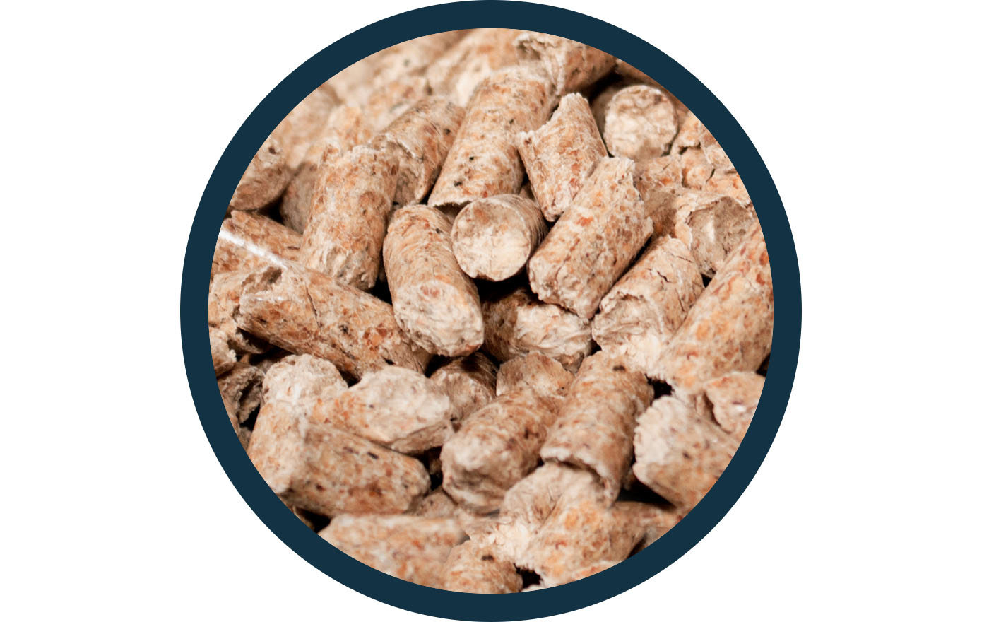 Nahaufnahme von hellbraunen, zylinderförmigen Holzpellets, dargestellt in einem runden Rahmen mit dunkelblauem Rand.