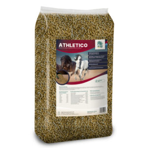 ALL-WIN® Horse Athletico | 15 kg