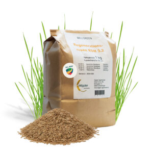 ALL-WIN® Bellgreen Regenerationsrasen RSM 3.2 | 1 kg