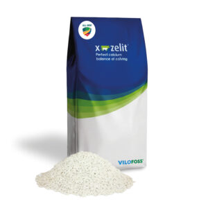 ALL-WIN® X-Zelit | 15 kg